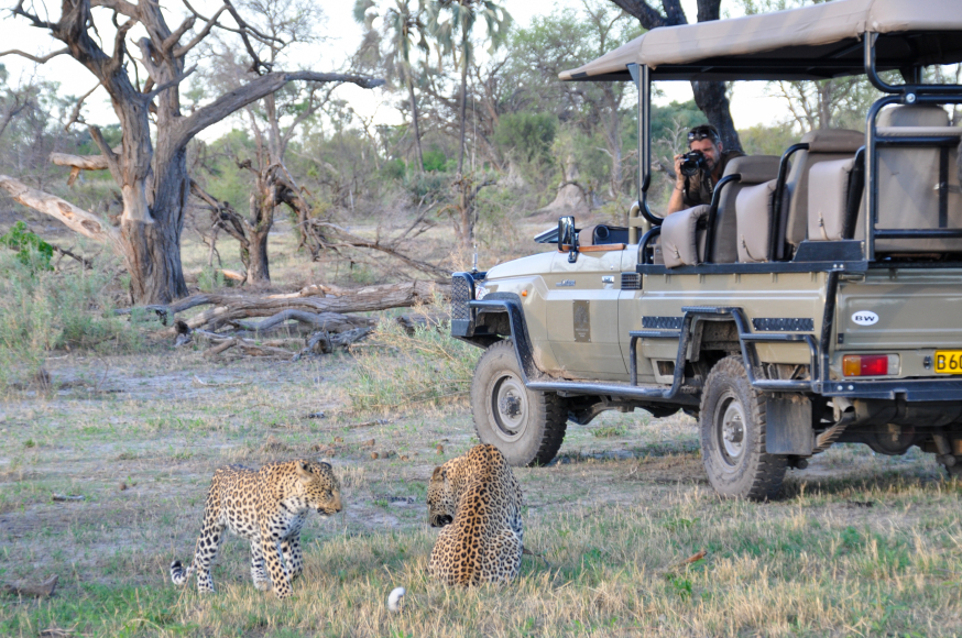 Afbeelding: Fly-in safari in Botswana, Afrika