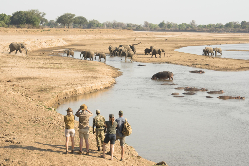 Afbeelding: Fly-in safari in Zambia, Afrika
