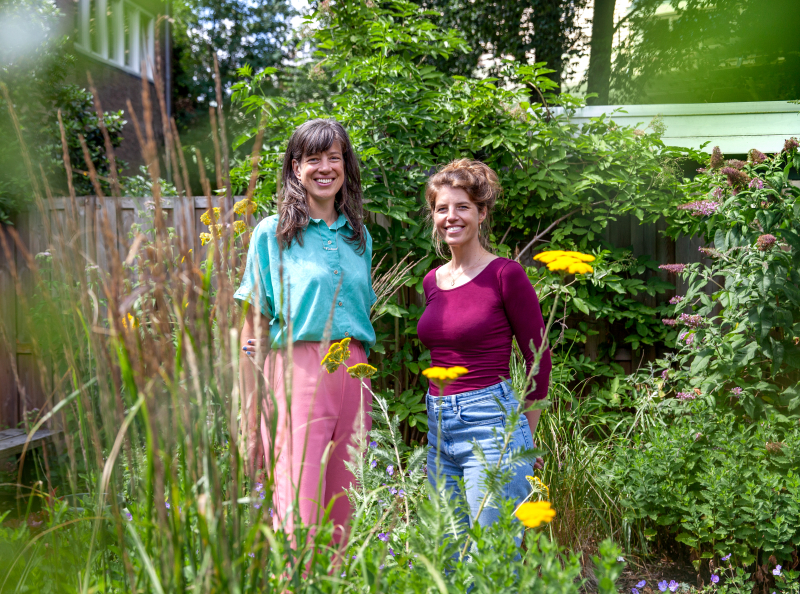 Biologische tuinplanten vliegen de deur uit