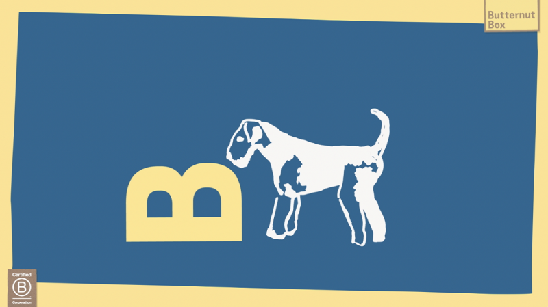 Butternut Box is het eerste verse hondenvoer merk in Nederland met B Corp certificering