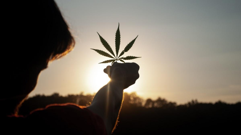 5 redenen waarom de toekomst van de cannabismarkt hoopgevend is