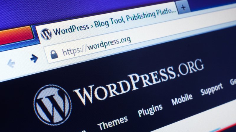 Vijf onmisbare Wordpress-plugins