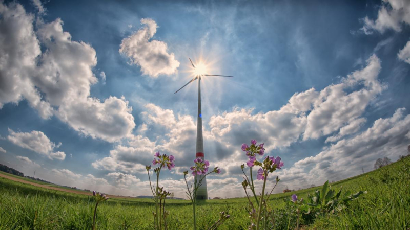 Aandeel hernieuwbare energie groeit gestaag