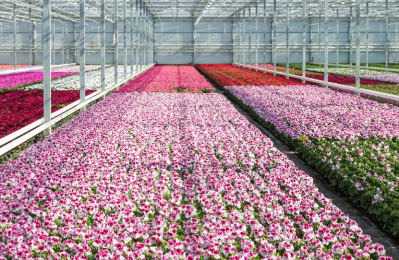 Nederlandse industrie blijft op stoom