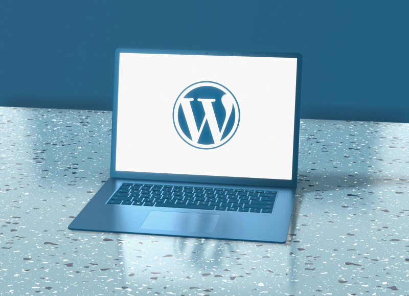 Wix, Shopify of WordPress: wat kiest de slimme ondernemer?