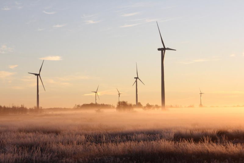 Zeven op de tien Nederlanders: regering moet veel meer doen aan energietransitie