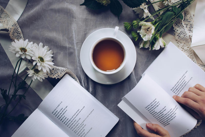 Boekentip – De ontvoering van LUDWIG: boek over een verdwijningszaak