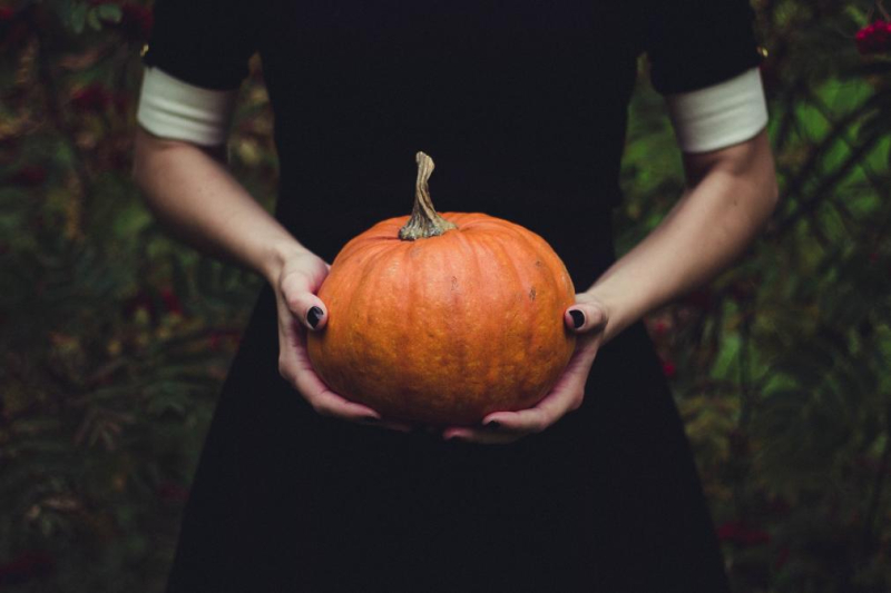 Halloween: hoe staat het met onze pompoenen?