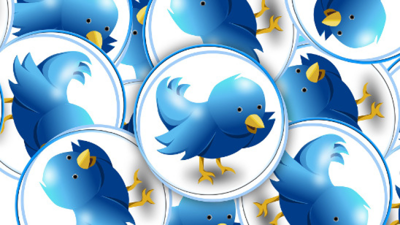 Professioneel op Twitter? 'Verify' je account!