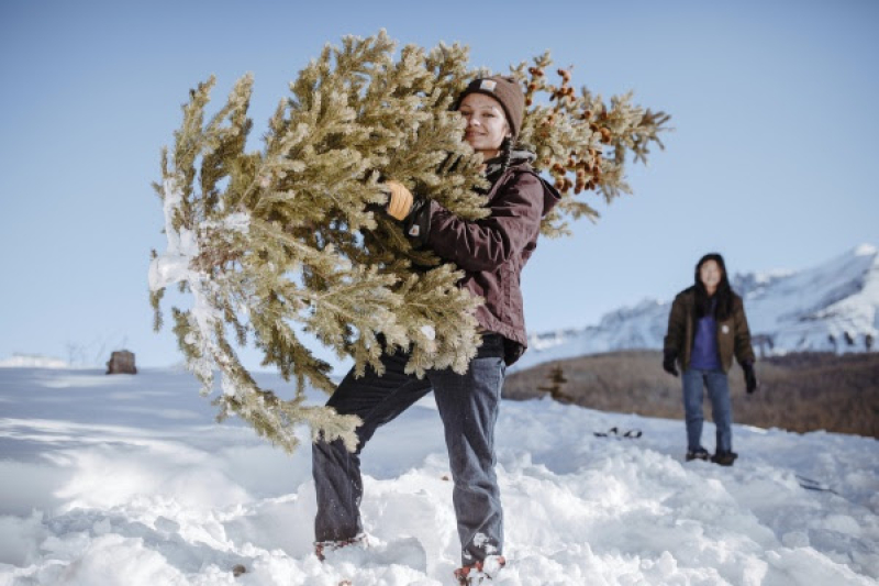 Kerstboom scoren met warme oren