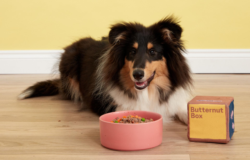 DOG FOOD FOR THOUGHT Miljoenen hondenbaasjes weten niet wat ze hun viervoeter voorschotelen