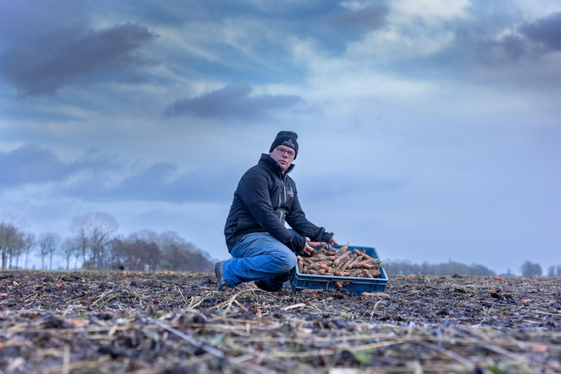 Bijna één miljoen kilo groente dreigt verspild te worden