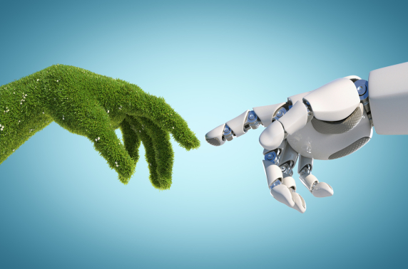 AI en duurzaamheid in organisaties: uitdagingen en kansen