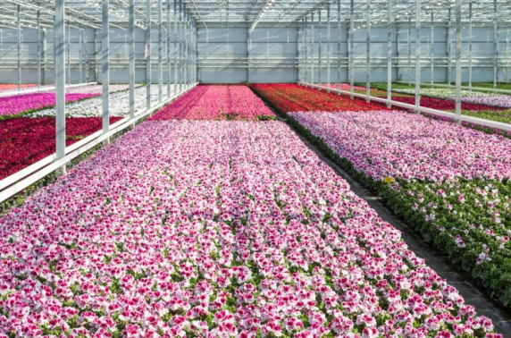 Nederlandse industrie blijft op stoom