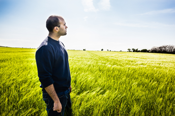 Landbouwgoederen overheersen handelsoverschot 