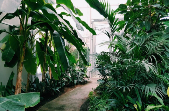 ROVC ontwikkelt zich tot uniek vakcentrum voor binnenklimaat