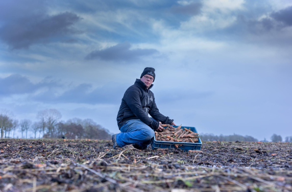 Bijna één miljoen kilo groente dreigt verspild te worden