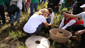 Nederlandse startups krijgen beurs Expo 2020 Dubai 