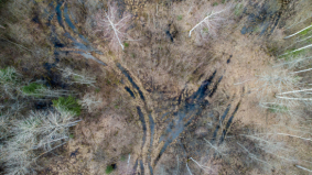 IFS en osapiens lanceren EUDR-check