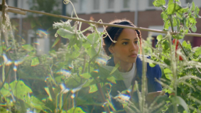 Pensioenuitvoerder BeFrank is B Corp gecertificeerd