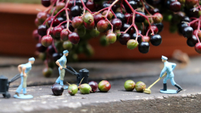 Onboarding zomerkrachten: zo werkt het wel