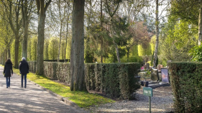 Verlies kind leidt bij werknemers vaakst tot afwezigheid van het werk