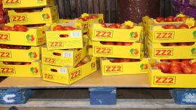 Groothandel ziet omzet nog steeds stijgen