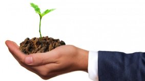 Het klimaatakkoord in de praktijk: 5 duurzame bedrijven die de weg wijzen