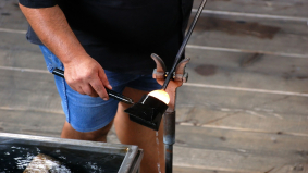 Vertrouwen producenten in industrie neemt toe