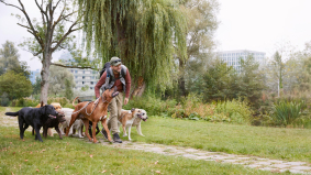 Nieuwe EU-regeling voor internationaal ondernemen