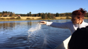 Wat zijn de kosten van een crematie?