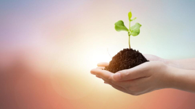 Voorbereid zijn op de toekomst met mvo 