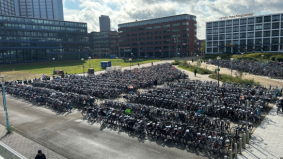 No Fluff Jobs maakt met ‘Hide the Pain Harold’ een opmerkelijke campagne