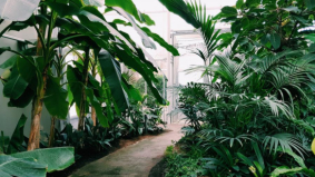 ROVC ontwikkelt zich tot uniek vakcentrum voor binnenklimaat