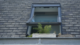 Voorkom wateroverlast en ongewenst ongedierte in je dak