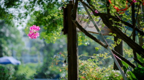 De buitenruimte als visitekaartje: versterk uw bedrijfsimago