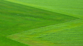 Graszoden en schuttingen plaatsen door de vakman