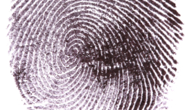 Casus: Privacy in de cloud - wie is er verantwoordelijk