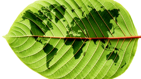 Geen plastic tasjes meer bij Zeeman