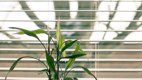 Deze soorten raamdecoratie zorgen voor beter zicht op je scherm