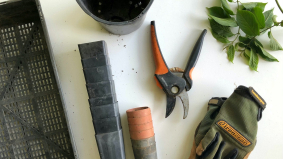 Wat een man nodig heeft voor zijn tuin