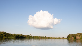 2019: het jaar van Synology