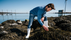 Invest International helpt bij opschaling van Nederlandse zeewierspecialist