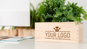 Blooms out of the box