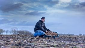 Bijna één miljoen kilo groente dreigt verspild te worden