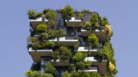 Groen gaan? Zo doe je dat: het duurzame kantoor  