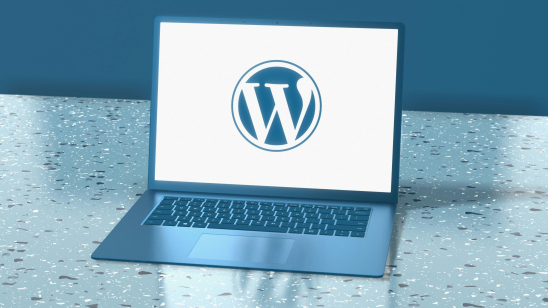 Wix, Shopify of WordPress: wat kiest de slimme ondernemer?