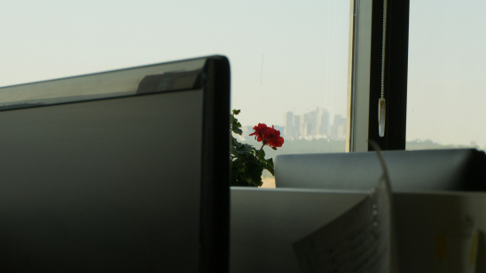 Valentijnsdag ondernemers