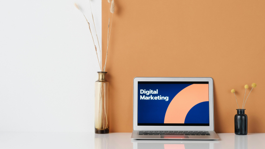 Online marketing Zwolle: schaal op zodra winst per order helder is