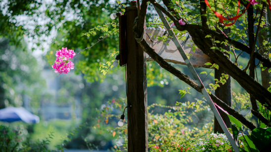 De buitenruimte als visitekaartje: versterk uw bedrijfsimago